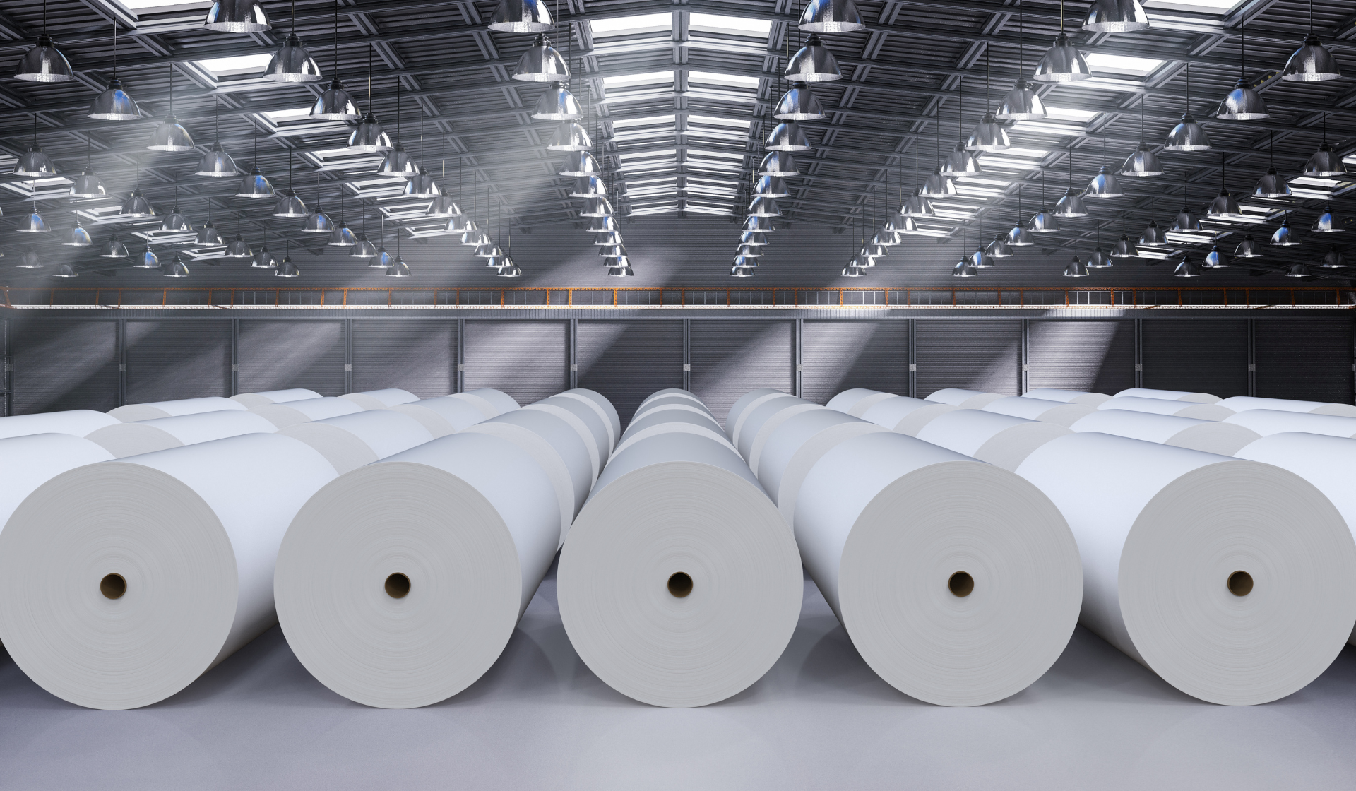  Pulp and Paper Industry Rolls of Paper 